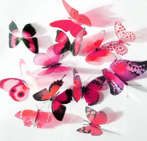 hotpinkbutterflies.jpg